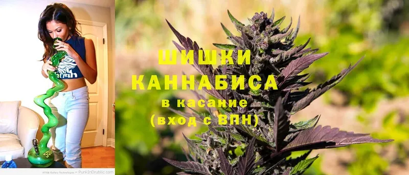 Марихуана THC 21%  Дмитров 